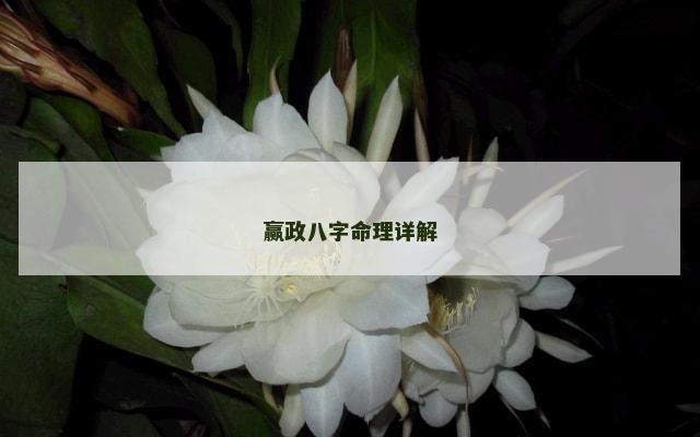 赢政八字命理详解