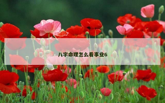 八字命理怎么看事业6