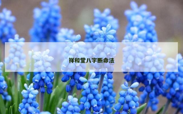 祥和堂八字断命法