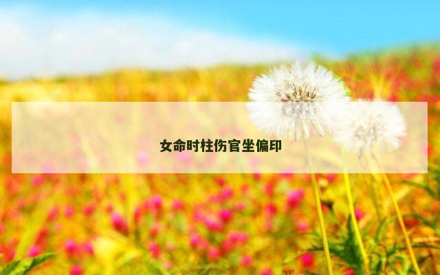 女命时柱伤官坐偏印