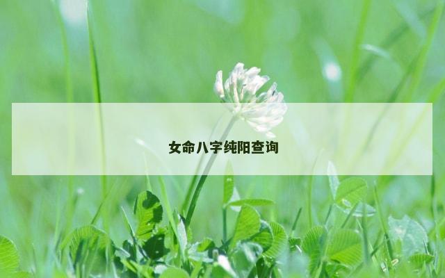 女命八字纯阳查询