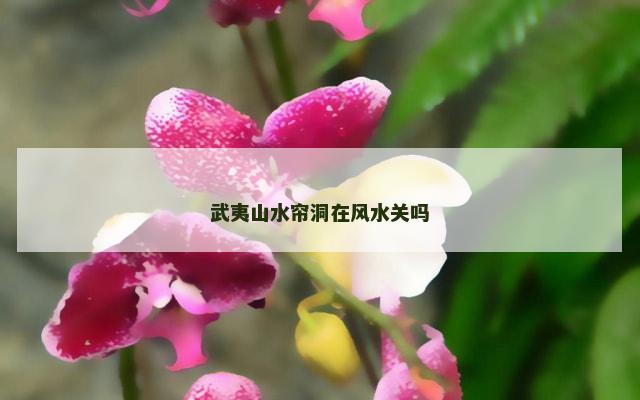 武夷山水帘洞在风水关吗