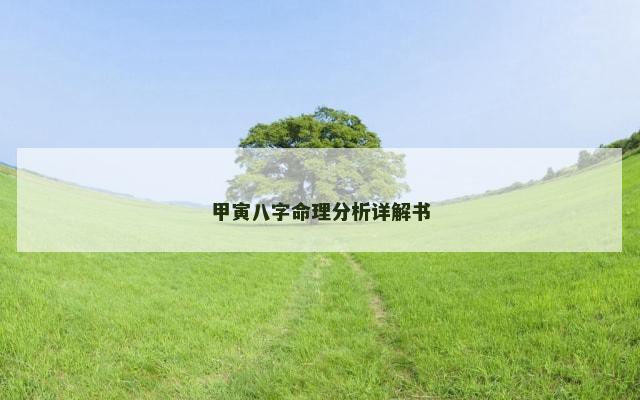 甲寅八字命理分析详解书