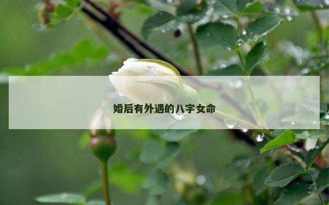 婚后有外遇的八字女命