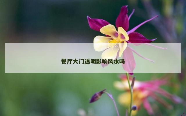 餐厅大门透明影响风水吗