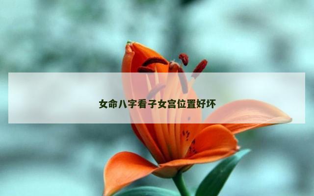 女命八字看子女宫位置好坏
