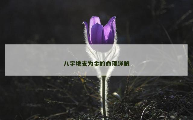 八字地支为金的命理详解