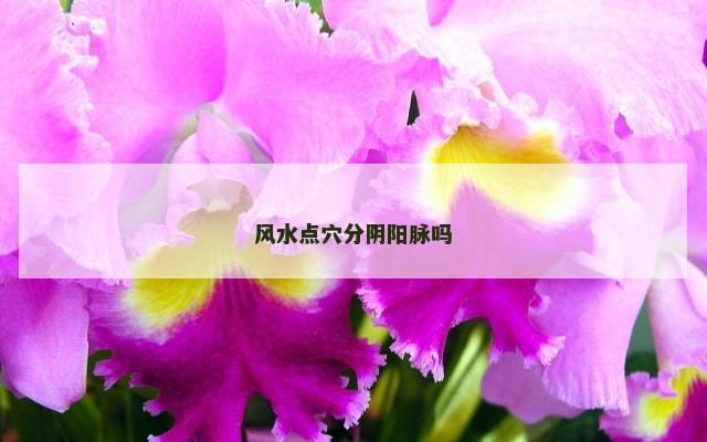 风水点穴分阴阳脉吗