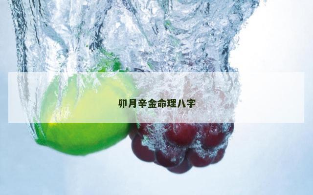 卯月辛金命理八字