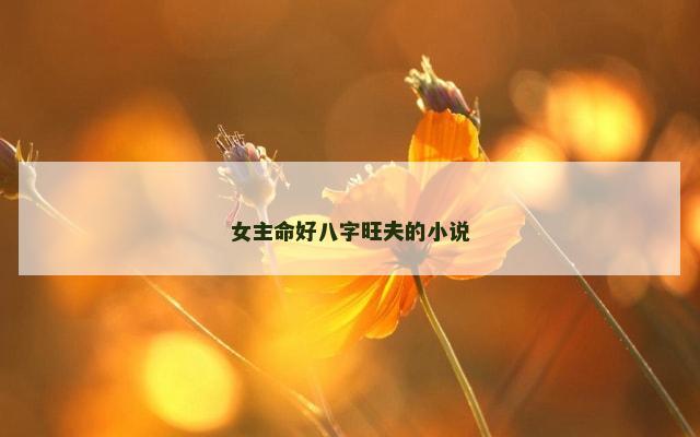 女主命好八字旺夫的小说
