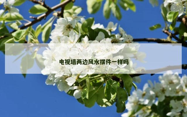电视墙两边风水摆件一样吗