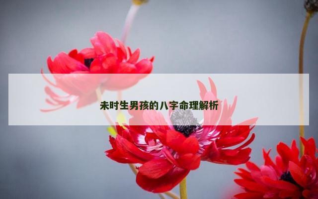 未时生男孩的八字命理解析