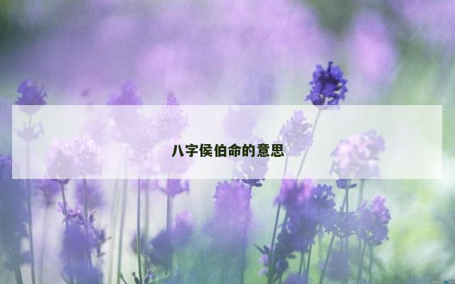 八字侯伯命的意思
