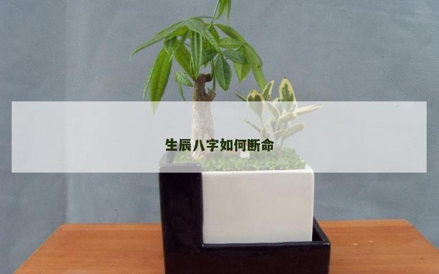 生辰八字如何断命