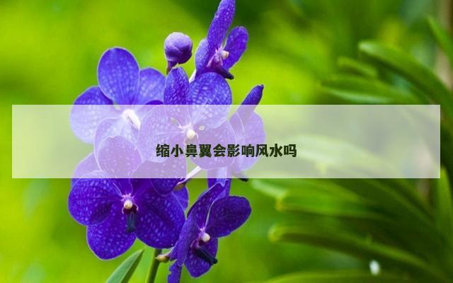 缩小鼻翼会影响风水吗