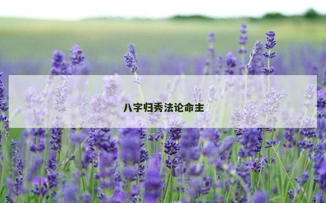 八字归秀法论命主