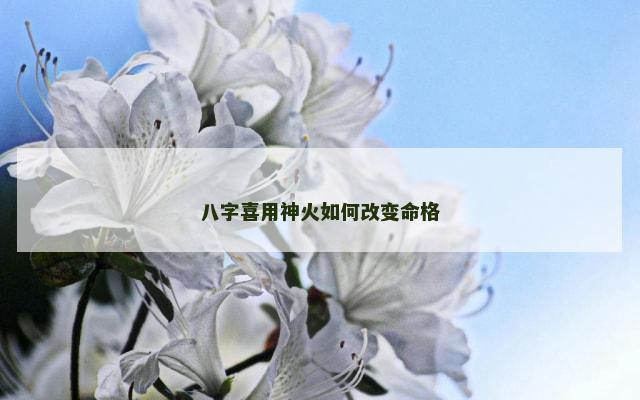 八字喜用神火如何改变命格