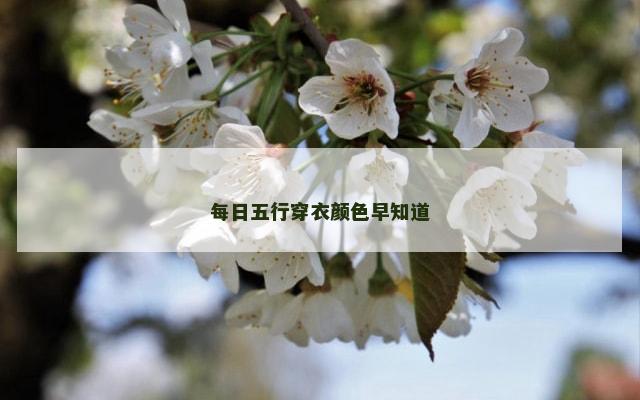 每日五行穿衣颜色早知道