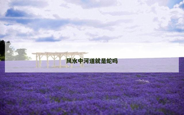 风水中河道就是蛇吗
