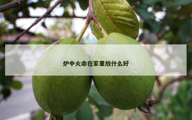 炉中火命在家里放什么好