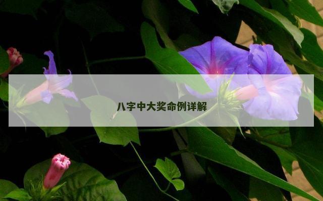 八字中大奖命例详解