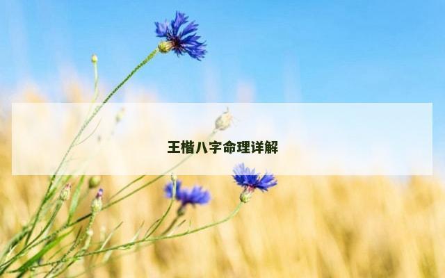王楷八字命理详解