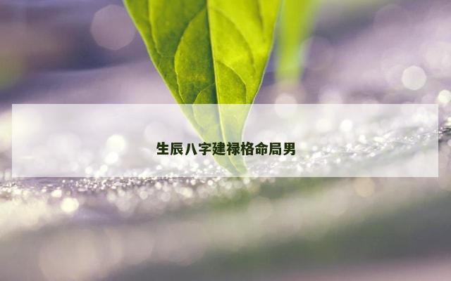 生辰八字建禄格命局男