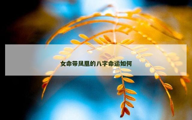 女命带凤凰的八字命运如何