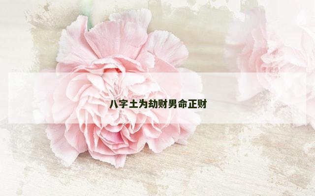 八字土为劫财男命正财
