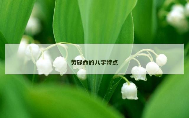 劳碌命的八字特点
