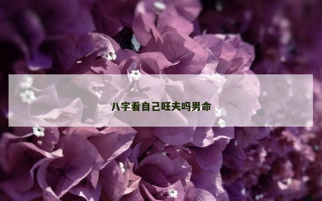 八字看自己旺夫吗男命
