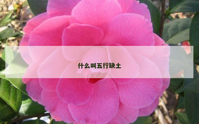 什么叫五行缺土
