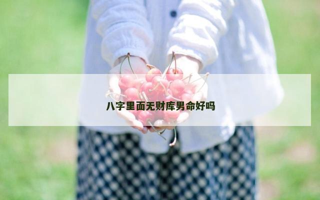 八字里面无财库男命好吗