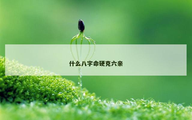 什么八字命硬克六亲