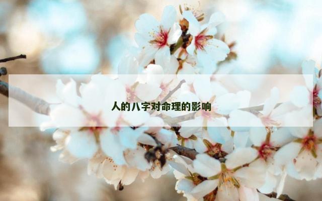 人的八字对命理的影响