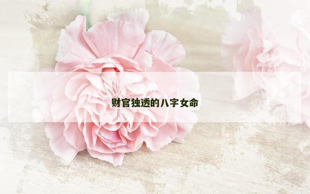 财官独透的八字女命