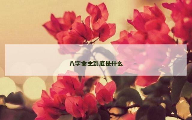 八字命主到底是什么