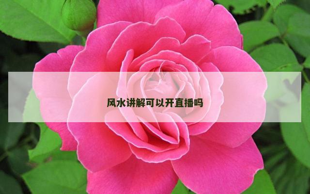 风水讲解可以开直播吗