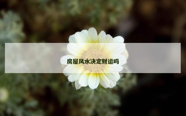 房屋风水决定财运吗