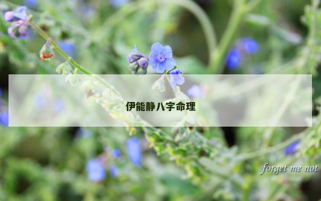 伊能静八字命理