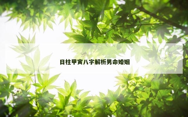 日柱甲寅八字解析男命婚姻
