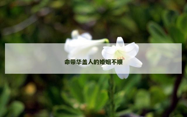 命带华盖人的婚姻不顺