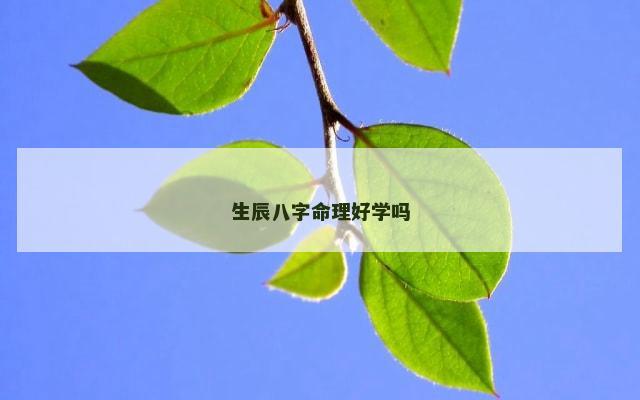 生辰八字命理好学吗