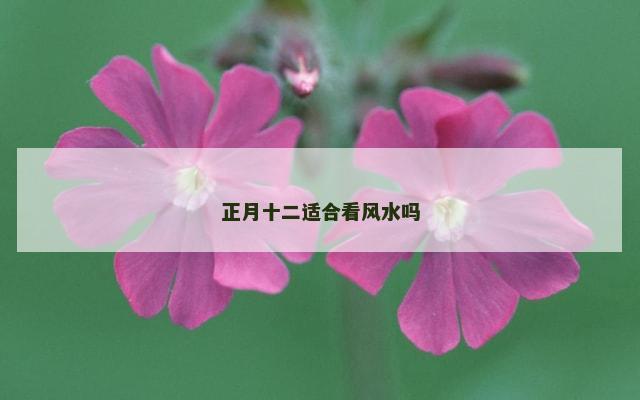 正月十二适合看风水吗