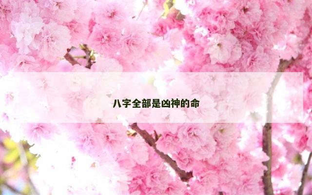 八字全部是凶神的命