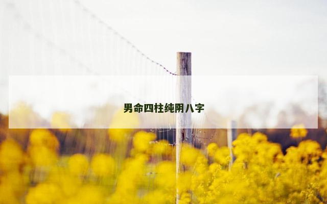 男命四柱纯阴八字