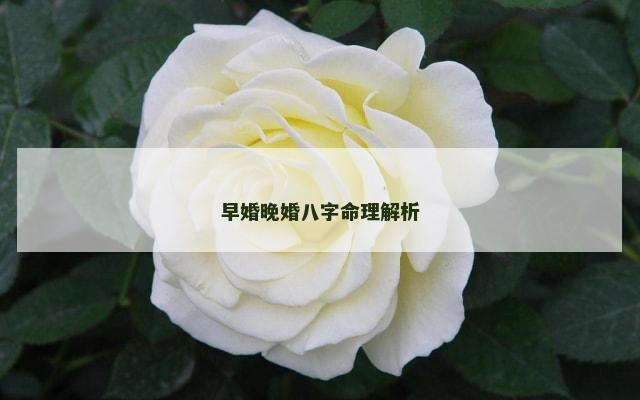早婚晚婚八字命理解析