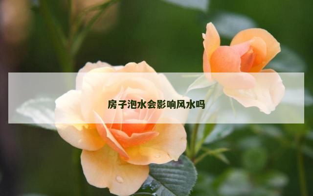 房子泡水会影响风水吗