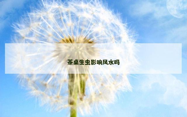 茶桌生虫影响风水吗