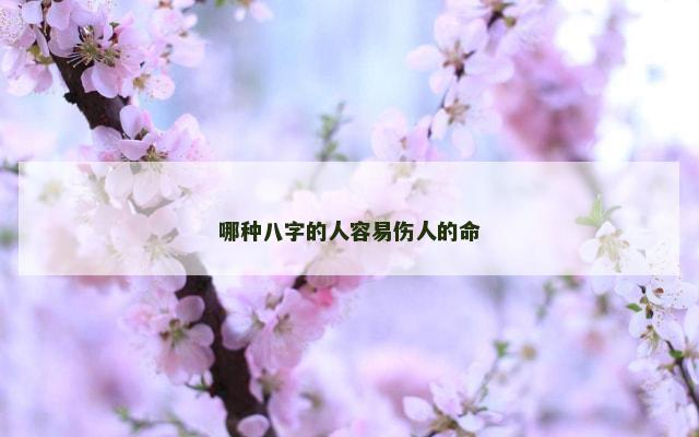 哪种八字的人容易伤人的命